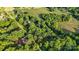 Scenic aerial view of the home surrounded by mature trees, and a peaceful, wooded area at 603 Sunnybrook Dr, Monroe, NC 28110