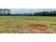 This property is an empty lot with tall grass and soil spots, with several trees in the background at Tbd Alf Hoover Rd # 4, Lincolnton, NC 28092