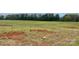 This property is an empty lot with tall grass and soil spots, with several trees in the background at Tbd Alf Hoover Rd # 4, Lincolnton, NC 28092
