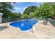 Outdoor swimming pool with diving board, surrounded by a concrete patio at 128 Paul Snipes Rd, Lancaster, SC 29720