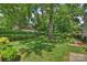 Secluded backyard featuring lush landscaping and mature trees, offering a serene outdoor space at 2627 Hampton Ave, Charlotte, NC 28207