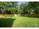 A large, grassy backyard enclosed by a wooden privacy fence surrounded by mature trees at 6100 Ashcrest Dr, Charlotte, NC 28217