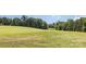 Expansive golf course featuring lush green fairways and mature trees, perfect for avid golfers at 15131 Oleander Dr, Charlotte, NC 28278