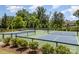 Community pickleball courts with blue and green surfaces, surrounded by trees and fencing for recreational enjoyment at 15131 Oleander Dr, Charlotte, NC 28278