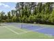 Community tennis courts offer an active lifestyle, surrounded by lush greenery and a tranquil setting at 15131 Oleander Dr, Charlotte, NC 28278