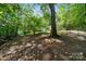 Secluded backyard with mature trees, offering ample space for recreation and relaxation at 1917 Tom Sadler Rd, Charlotte, NC 28214