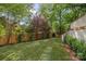 Backyard view featuring manicured lawn and wooden fence at 2710 Briarcliff Pl, Charlotte, NC 28207
