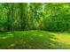 Beautiful backyard showcasing healthy green grass surrounded by a dense, shady tree line at 3387 Passmore Rd, Rock Hill, SC 29730