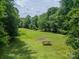 Expansive backyard area featuring a lush green field, mature trees, and a picnic table at 3387 Passmore Rd, Rock Hill, SC 29730