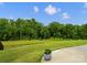 Spacious backyard featuring a well-manicured lawn and a line of trees behind a fence at 5581 Soft Shell Dr, Lancaster, SC 29720