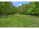 Spacious backyard with lush green grass and mature trees creates a serene and inviting outdoor space at 6171 Willow Farm Dr, Denver, NC 28037