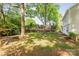 Large, grassy backyard featuring mature trees and a play set at 3101 Willowbrae Rd, Charlotte, NC 28226