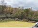 Backyard featuring lush foliage and a black metal fence on a cloudy day at 345 Hyssop Ct, Fort Mill, SC 29715