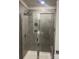 Tiled walk-in shower with glass door and built-in niche at 345 Hyssop Ct, Fort Mill, SC 29715