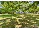 Lush backyard with mature trees offering shade and a serene outdoor retreat at 4960 York Hwy, Rock Hill, SC 29732
