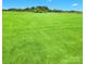 Expansive green backyard offering endless possibilities for outdoor activities and recreation at Lot 101 Coppergate Dr, Salisbury, NC 28147