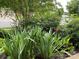 Lush landscaping with green foliage and red flowers create a welcoming curb appeal at 10817 Bere Island Dr, Charlotte, NC 28278