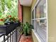 Cozy balcony with lush plants, creating a serene outdoor space for relaxing at 1320 Fillmore Ave # 137, Charlotte, NC 28203