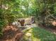 Backyard setting with stone patio, comfortable seating, a firepit, and surrounding foliage at 7040 Edenderry Dr, Charlotte, NC 28270