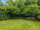 Lush backyard featuring a well-manicured lawn, mature trees, and a privacy fence at 1012 N Sharon Amity Rd, Charlotte, NC 28211