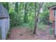 Backyard with mature trees, lush greenery, and detached shed at 109 N Belvedere Ave, Gastonia, NC 28054