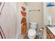 Cozy bathroom offering a toilet, shower with unique curtain, and convenient storage at 1105 Bottle Brush Ln, Harrisburg, NC 28075