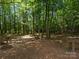 Forested lot with cleared camp site area and benches at 14010 Mccord Rd, Huntersville, NC 28078