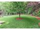 Professionally landscaped backyard featuring mature trees, manicured lawn, and a privacy fence at 212 Forest Walk Way, Mooresville, NC 28115