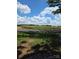 Exterior shot showing a rural lot and a road at 6006 White Store Rd, Marshville, NC 28103