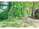 The lush backyard has an area with a fire pit and green vegetation all around at 1115 Grovewood Dr, Charlotte, NC 28208