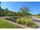 Beautiful landscaping with lush green plants and trees with walkways on a clear, sunny day at 464 Granite Lake Ct, Denver, NC 28037