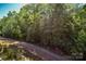 Scenic shot of property surrounded by tall trees and lush greenery; a nature lover's dream at 464 Granite Lake Ct, Denver, NC 28037