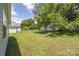 Expansive backyard with lush greenery and shade trees, offering a serene outdoor space at 1004 Johnson St, Charlotte, NC 28206
