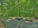 Secluded wooded backyard featuring a fire pit, table, benches, and chairs at 10545 Mount Holly Huntersville Rd, Huntersville, NC 28078