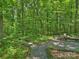 Forested backyard with stone paths, chairs, a table and benches for enjoying peaceful woodland views at 10545 Mount Holly Huntersville Rd, Huntersville, NC 28078