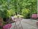 Lush backyard patio with ornate chairs and garden at 11121 Sevilla Ct, Charlotte, NC 28226