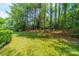 Well-maintained backyard featuring lush lawn and mature trees, providing a serene outdoor space at 12039 Lawings Corner Dr, Huntersville, NC 28078