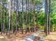 Wooded path leading down to a lake with dock and gazebo, surrounded by tall trees at 18311 Rosapenny Rd, Charlotte, NC 28278