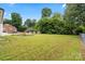 Expansive backyard featuring lush lawn, mature trees, and a charming seating area, perfect for outdoor relaxation and entertaining at 3937 Tamerlane Dr, Charlotte, NC 28205