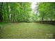 Expansive green backyard, perfect for outdoor activities and enjoyment at 8227 Lansford Rd, Charlotte, NC 28277