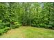 Spacious backyard with lush greenery and mature trees, offering a private and serene outdoor space at 1669 Mary Ellen Dr, Fort Mill, SC 29708