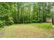 Expansive backyard with lush green grass, mature trees, and a small shed providing ample outdoor space at 1669 Mary Ellen Dr, Fort Mill, SC 29708