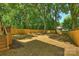 Large backyard with wooden fence and mature trees for privacy at 1711 Summey Ave, Charlotte, NC 28205