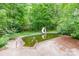 Backyard pool with slide surrounded by green lush foliage and concrete border at 2330 Raven Dr, Rock Hill, SC 29732