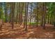 Wooded lot view of the home and pergola at 3617 Ruth St, Indian Trail, NC 28079
