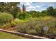 Tranquil community garden with blooming lavender and diverse plants, perfect for relaxation at 3617 Ruth St, Indian Trail, NC 28079
