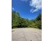 View of a wooded lot at 517 Grassy Creek Run, Chester, SC 29706