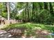 Wood backyard featuring a wooden fence and dense greenery, offering privacy and a natural setting at 5444 Datha Ave, Charlotte, NC 28269