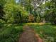 Lush backyard featuring a winding path, mature trees, and vibrant greenery at 6001 Charing Pl, Charlotte, NC 28211