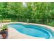 Inviting backyard pool surrounded by lush greenery provides a private oasis for relaxation and recreation at 1260 Rittenhouse Ln, Rock Hill, SC 29732